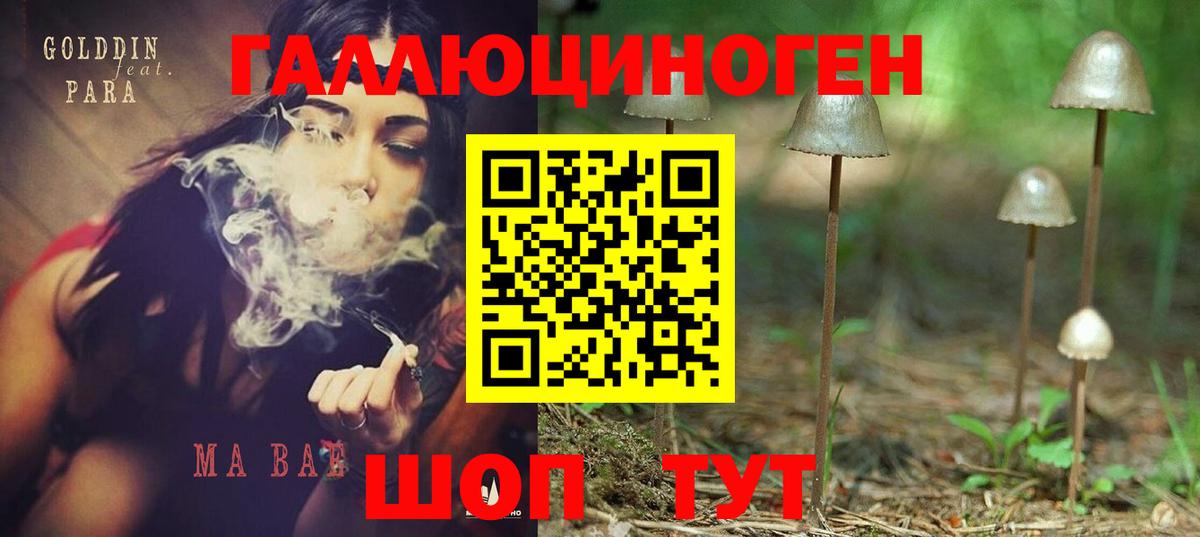 Галлюциногенные грибы Cubensis  Псилоцибиновые грибы мицелий  Вход с VPN  Ярцево 